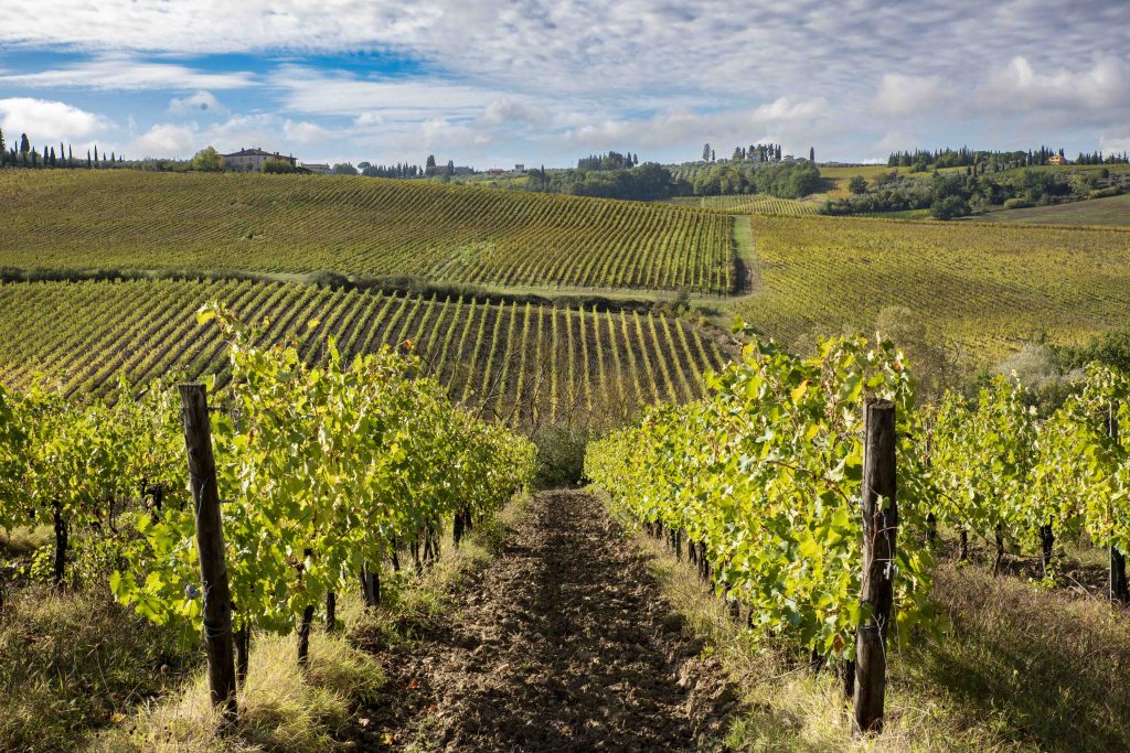 Toscana le strade del gusto