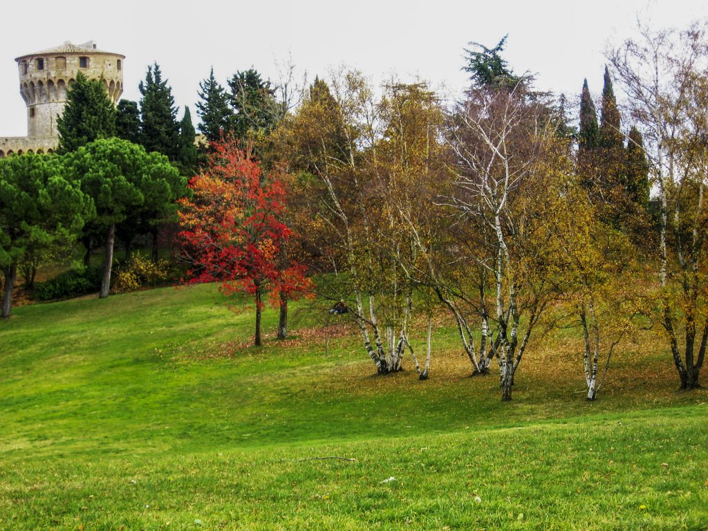 Volterra fortezza