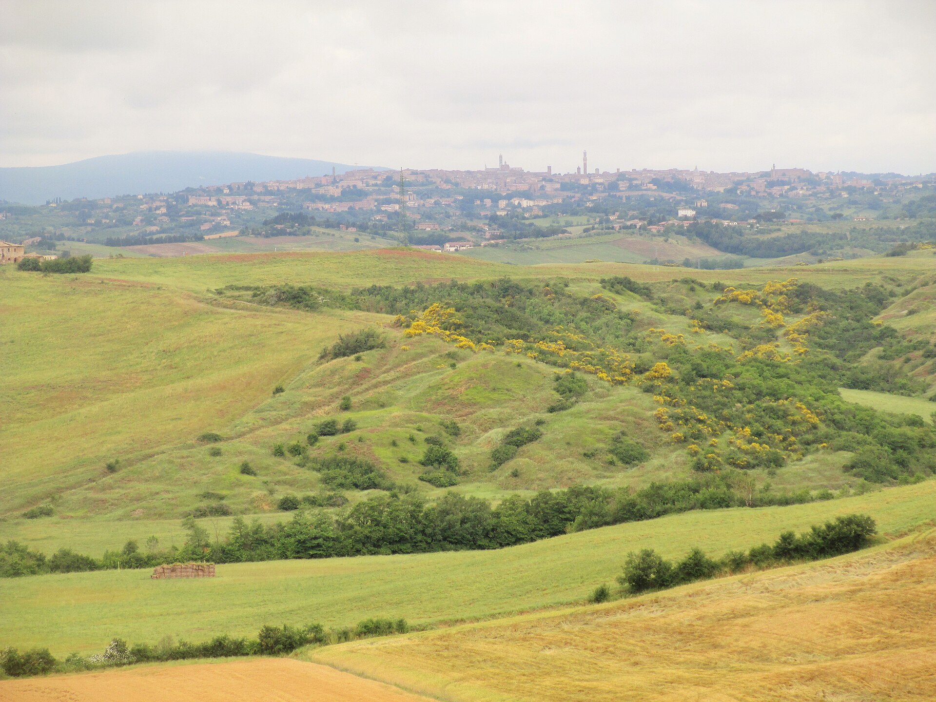 Paesaggio delle Crete Senesi vicino Asciano, attraversato dalle corse su strada bianca