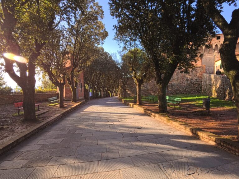 Montecarlo di Lucca: cosa vedere tra mura e vino