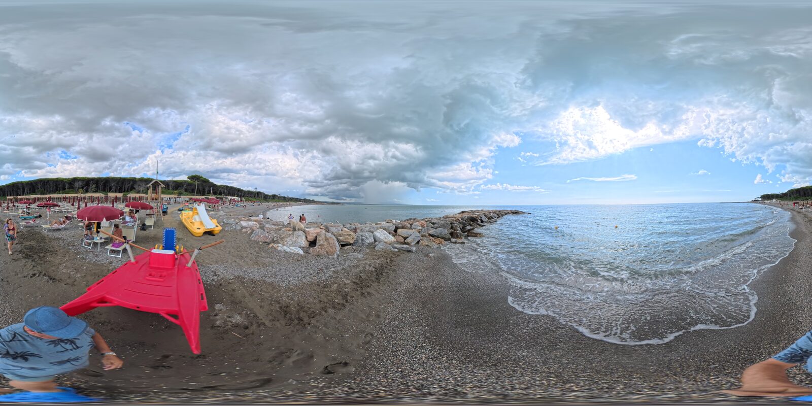 Pineta della Mazzanta vista dalla spiaggia