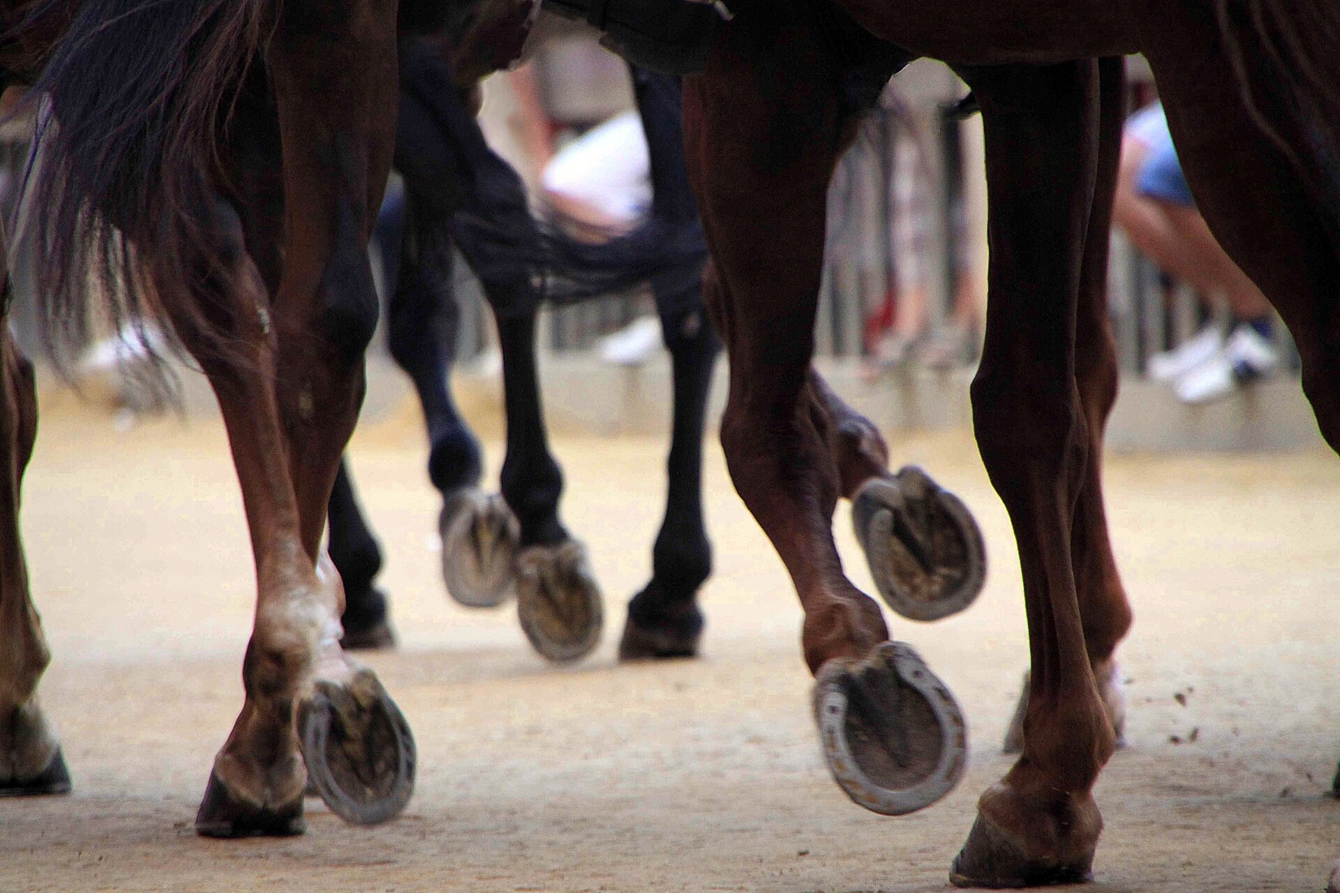 Il Palio di Siena in Piazza del Campo
