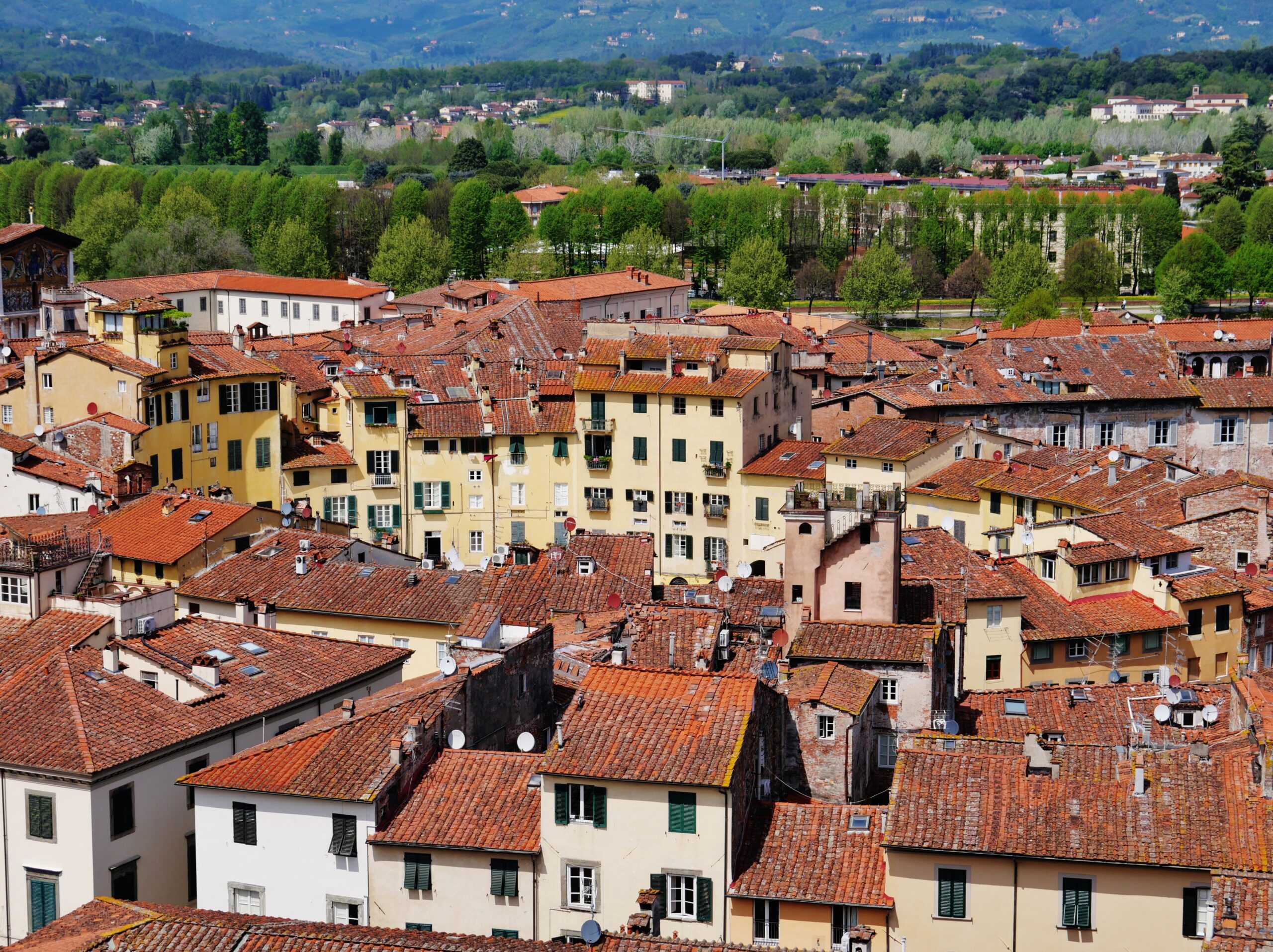 Vista dall'alto della Torre Guinigi su Piazza dell'Anfiteatro a Lucca