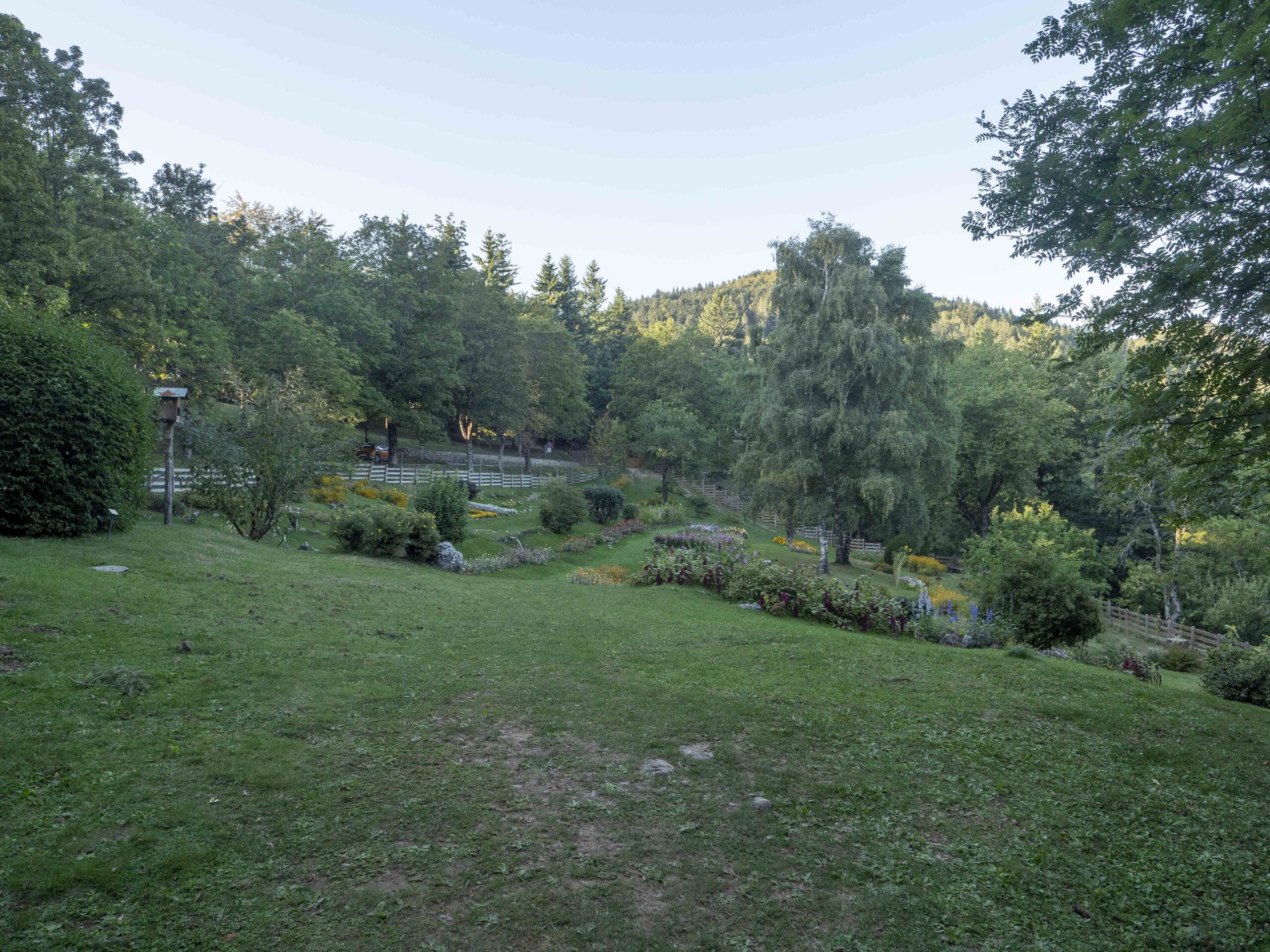 Area Sosta Camper vicino al Parco dell'Orecchiella