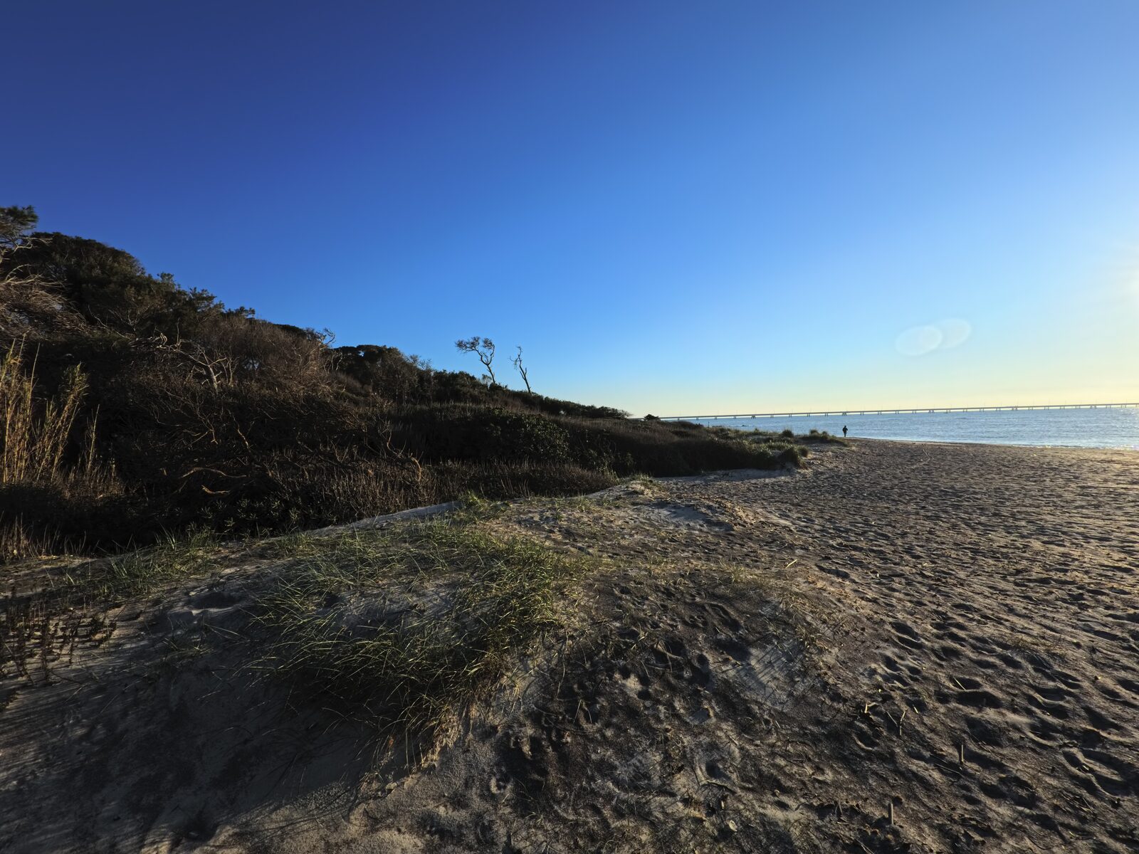Sentiero tra le dune verso la spiaggia