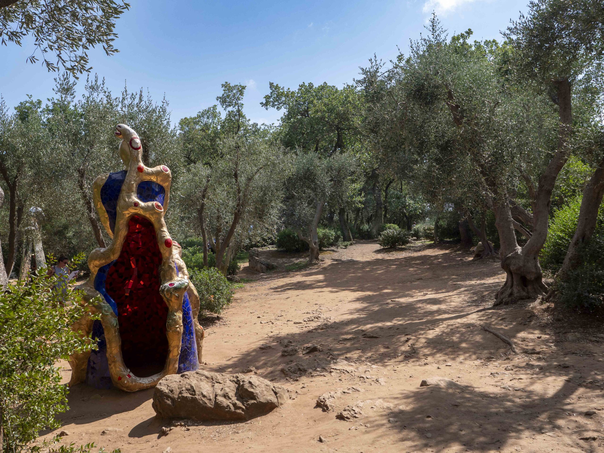 Uliveti nella campagna di Capalbio vicino al Giardino dei Tarocchi