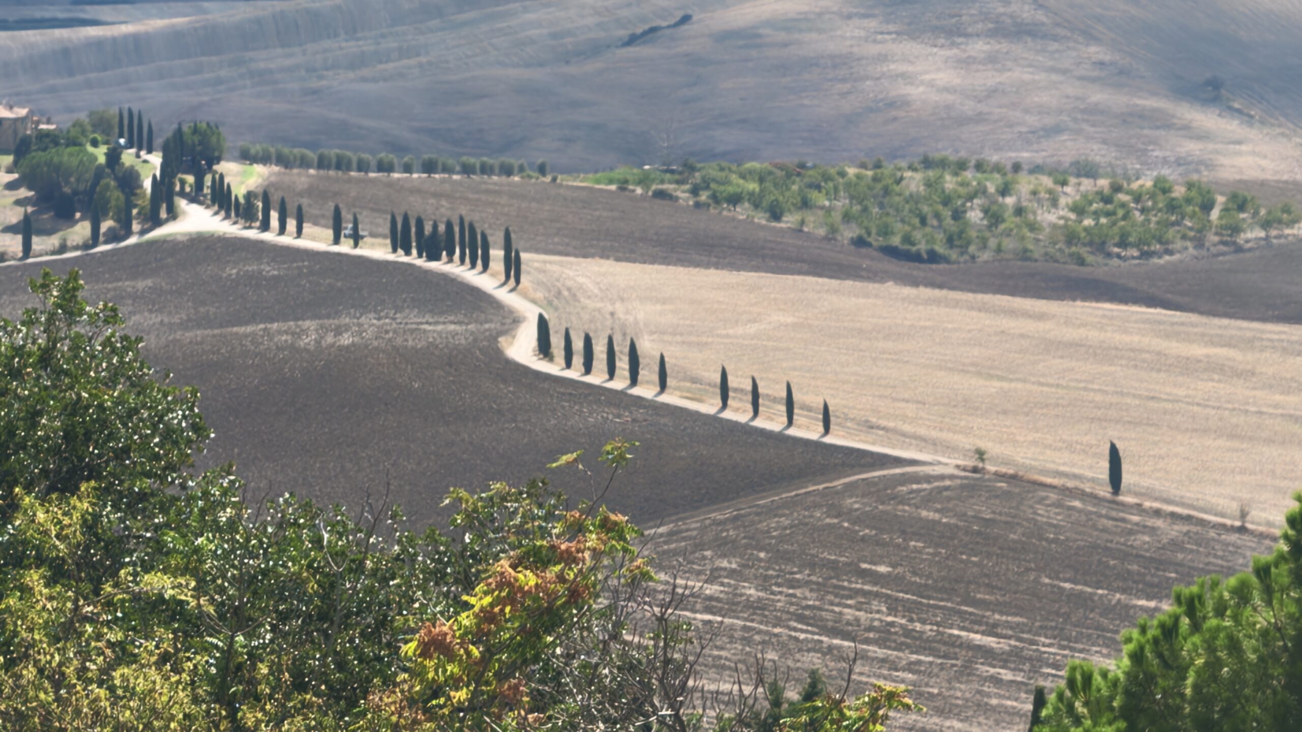Strada bianca tra i cipressi in Val d'Orcia, Toscana